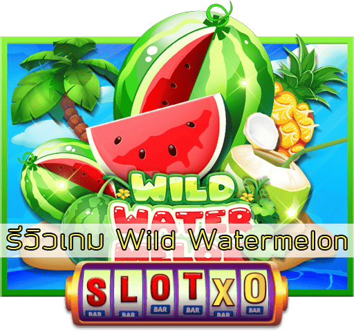 รีวิวเกม Wild Watermelon