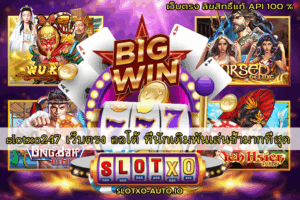 slotxo247